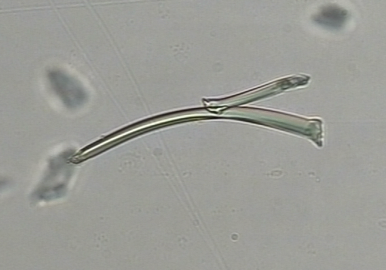 b134bd4a80c7f68130dcda6bd4a2583