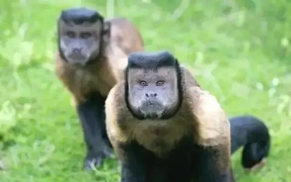 微信图片_20221009114837