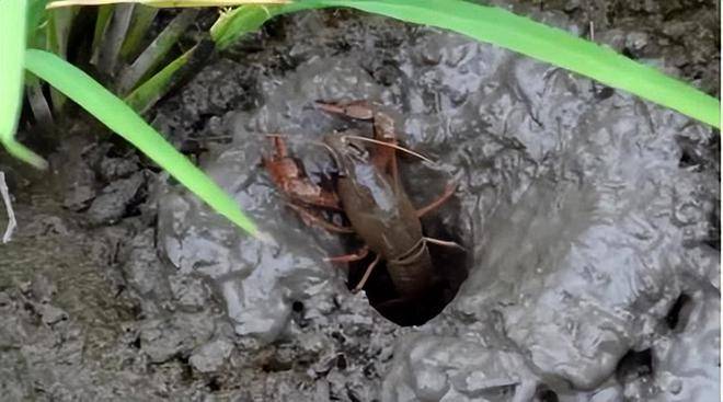 5b967d96c3e947debd09208504ac76b7